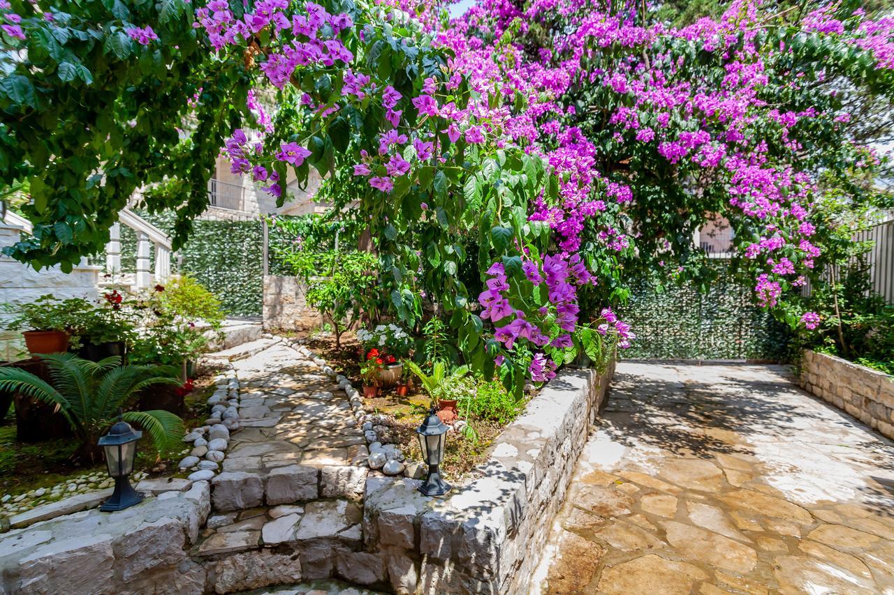 Lux Paradise Apartman Budva